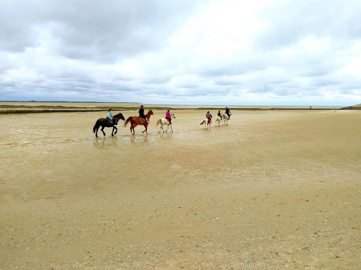 Maison Proche Des Immenses Plages De Berck Sur Mer A 1,8Km Des Plages 外观 照片